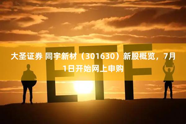 大圣证券 同宇新材（301630）新股概览，7月1日开始网上申购