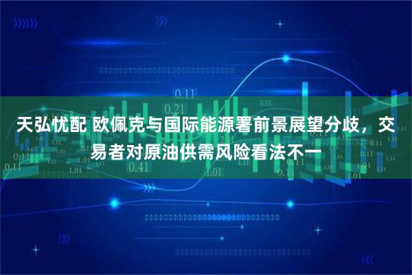 天弘忧配 欧佩克与国际能源署前景展望分歧，交易者对原油供需风险看法不一